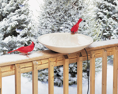 Important tips for choosing deck bird feeder
