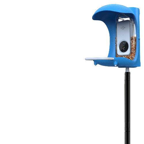 Bird Feeder Pole BirdFeederCo