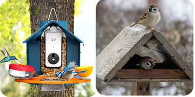 Bird Feeder with Built-In Camera: Transform Your Great Backyard into a Smart Birdwatching Haven