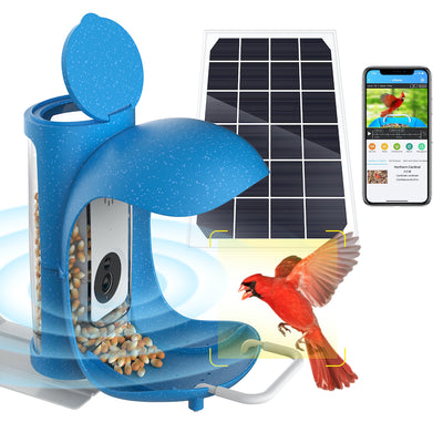 Going Green and Getting Close with Birds: Solar-Powered Bird Feeder with Camera