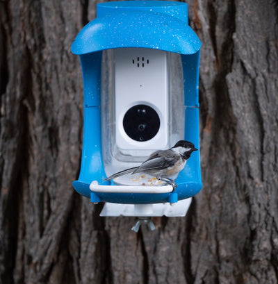 Smart bird feeder instruction