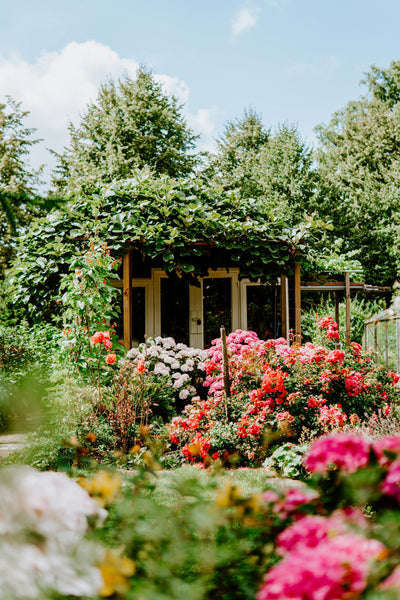 Transform Your Garden into a Wildlife Haven: 20 Simple Ways to Bring Nature to Your Backyard