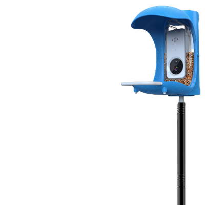 Top 3 best bird feeder pole