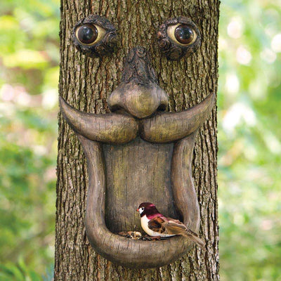 8 Unique bird feeders in your backyard