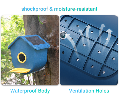 TkBird Smart Birdhouse – HD Night Vision + AI Bird ID (Pre-Order Now!)