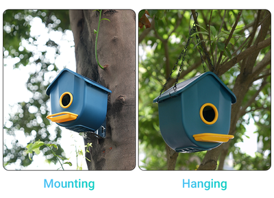 TkBird Smart Birdhouse – HD Night Vision + AI Bird ID (Pre-Order Now!)