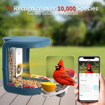 AI bird feeder camera