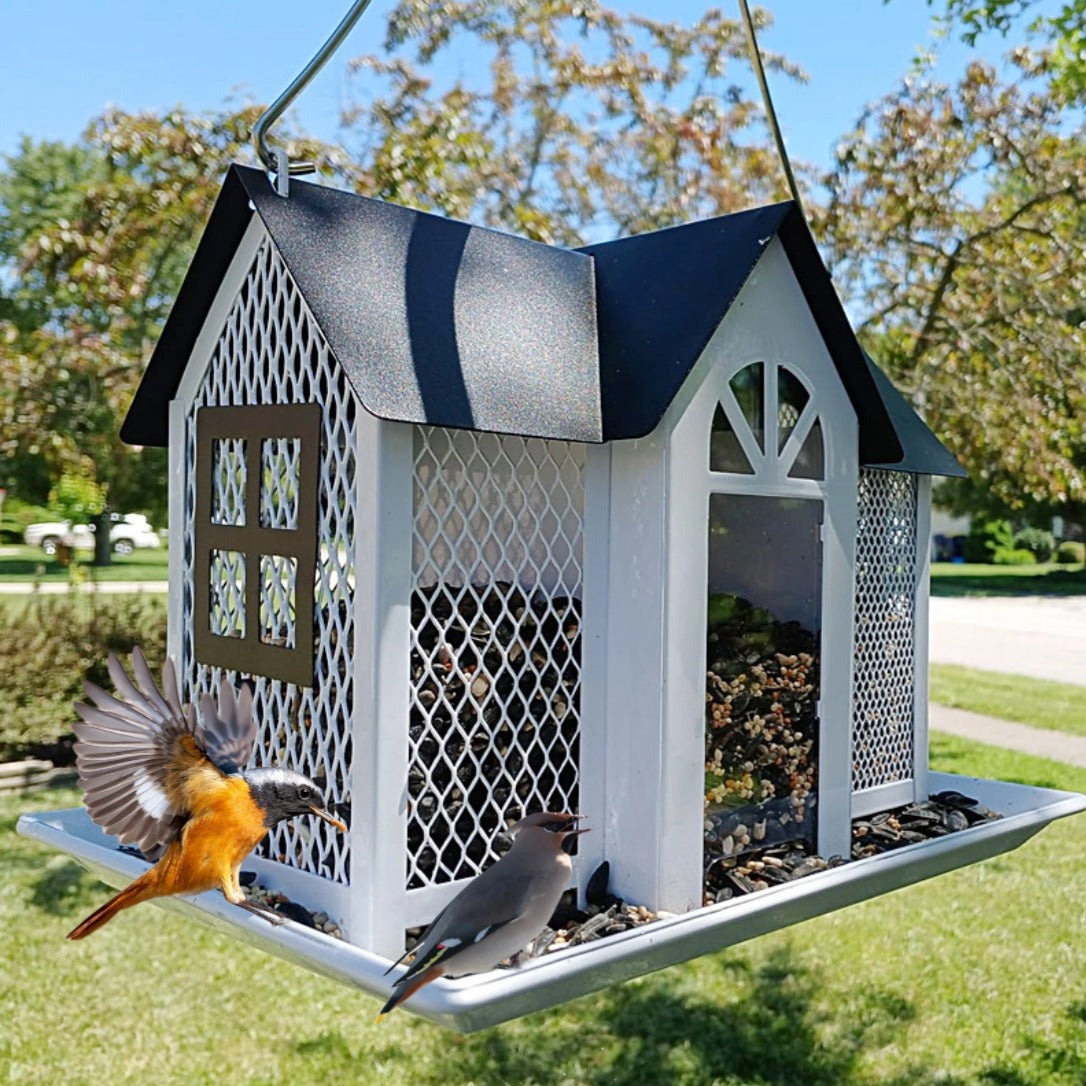 Bird House Feeder with Triple Feeders
