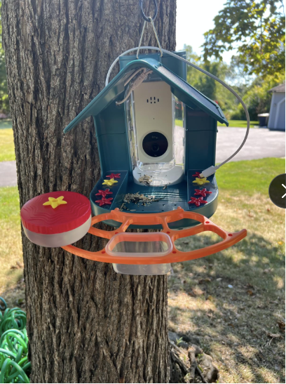 smart Bird feeder attached to a tree 