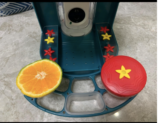 smart bird feeder with nectar feeder