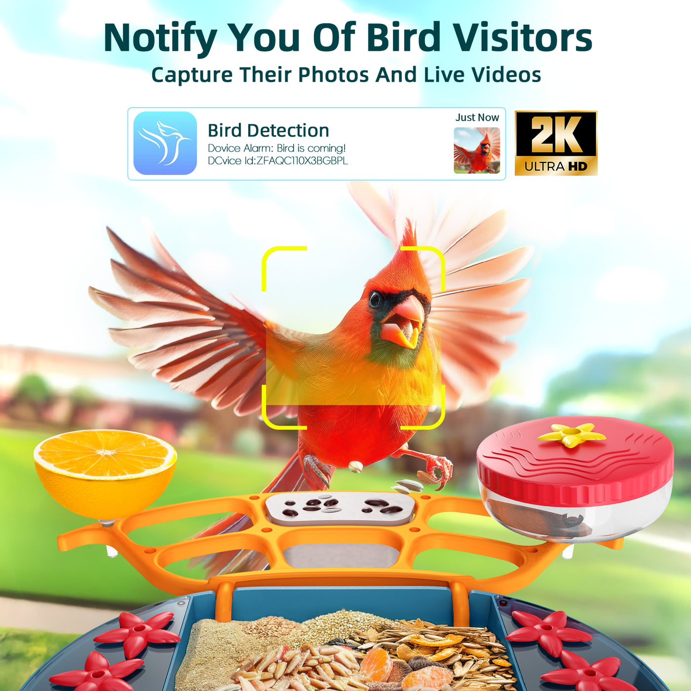 smart bird feeder with camera