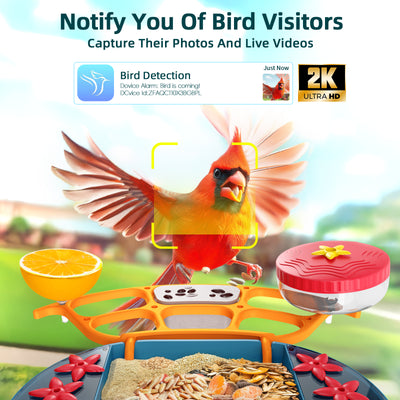 smart bird feeder with camera