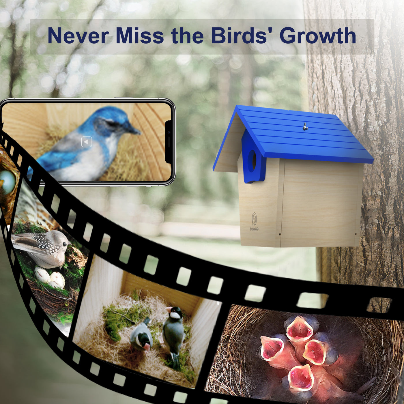 Wooden smart bird house solar powered