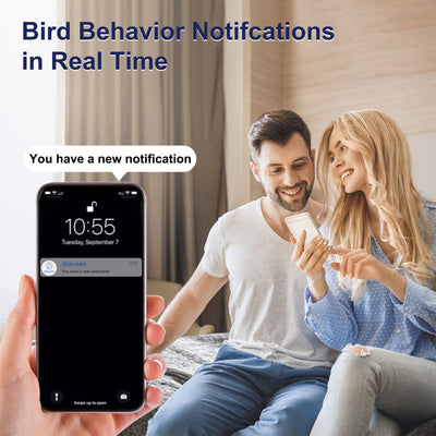 wifi bird house camera
