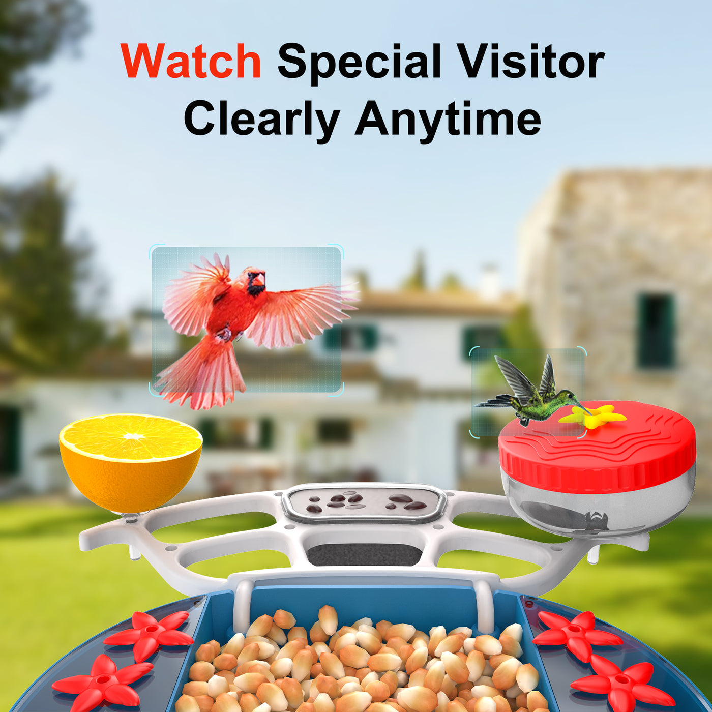 smart hummingbird feeder