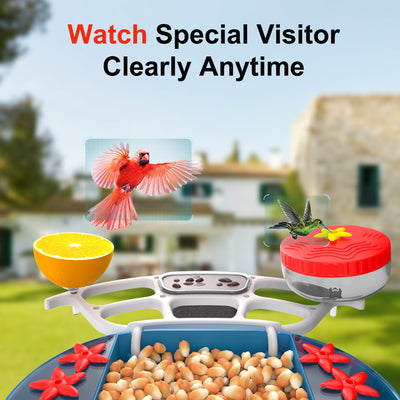 smart hummingbird feeder
