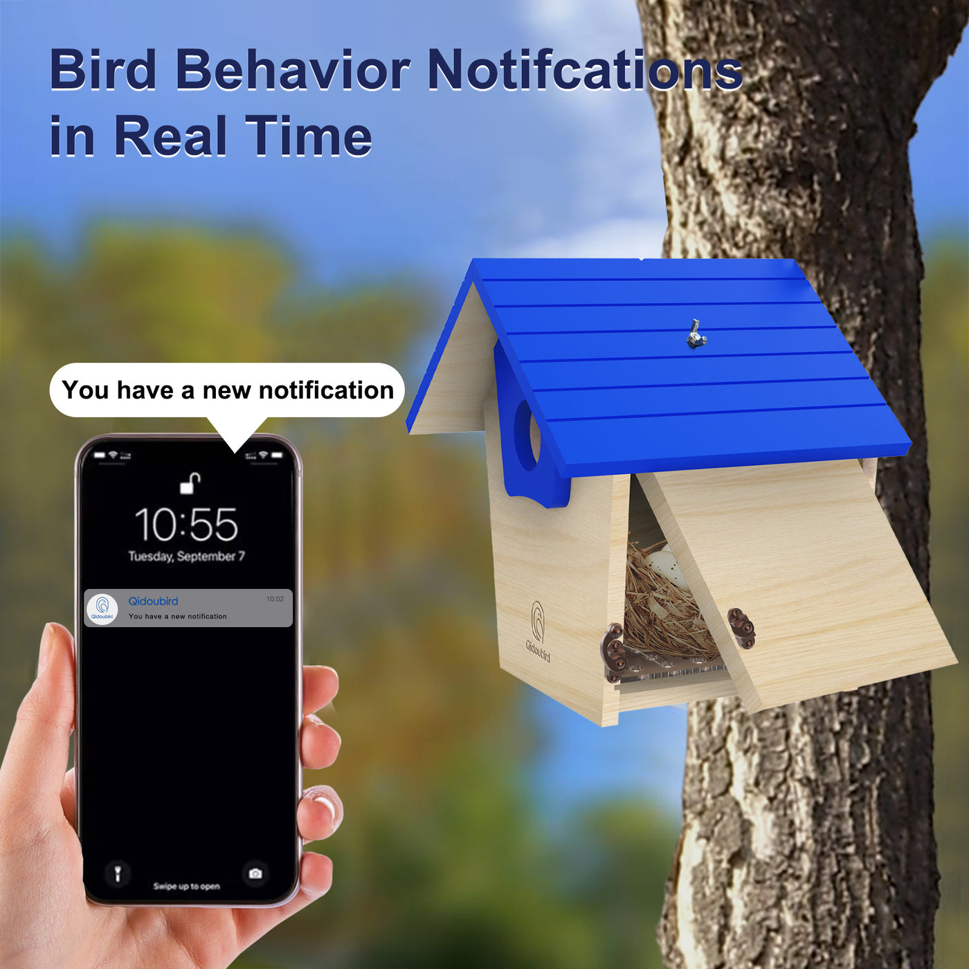 Wooden bird house with AI camera