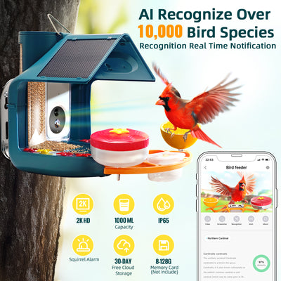 solar-powered hummingbird feeder