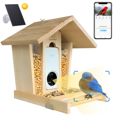 Solar powered wood bird feeder with camera