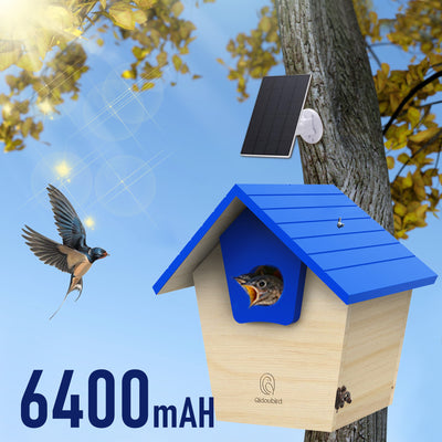 solar wooden bird house with camera