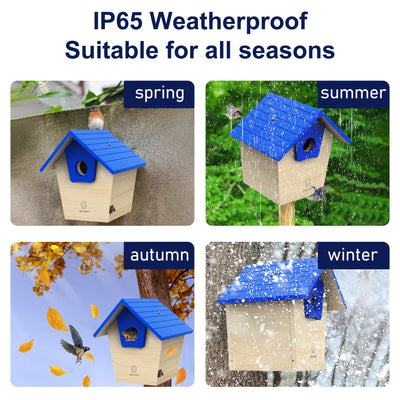 waterproof bird house for backyard