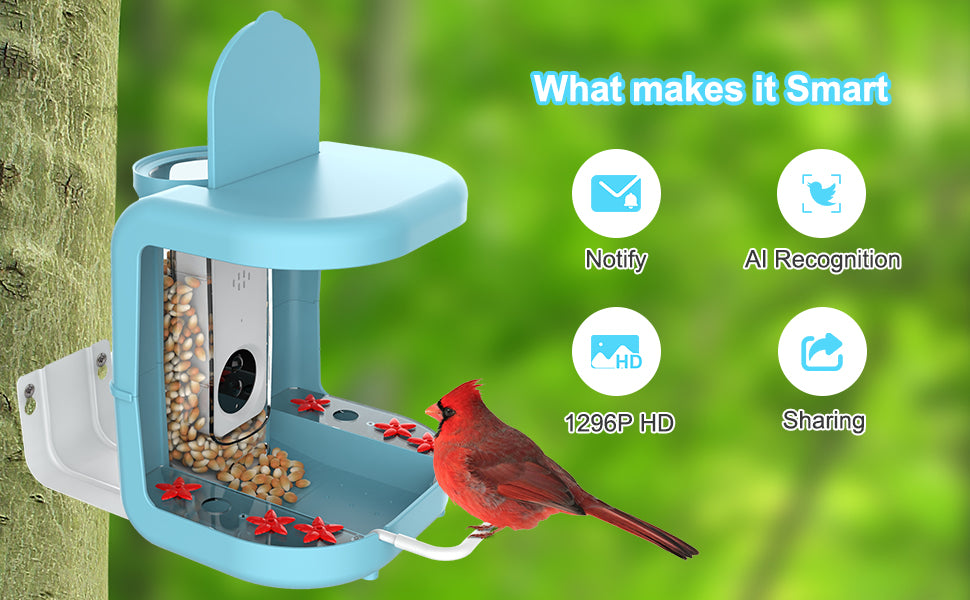 Smart Bird Feeder 2 In 1  birdfeeding cam