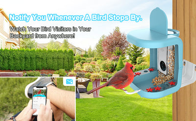 AI bird identification hummingbird feeder