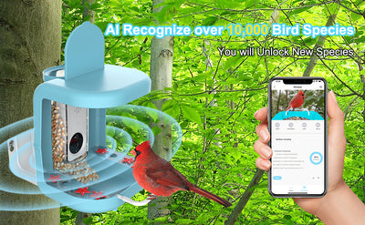 Bird Recognition APP for Hummingbird feeder camera