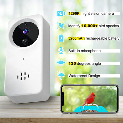 bird feeder camera replacement