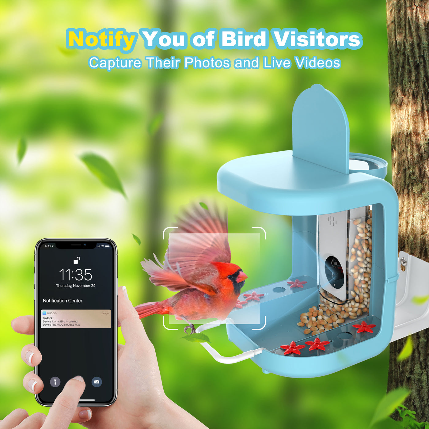 Smart Bird Feeder 2 In 1  birdfeeding cam