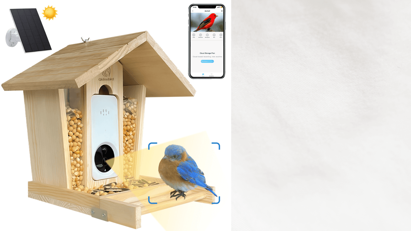 Birdhouse with solar panel, bird on perch, and smartphone app interface on a white background