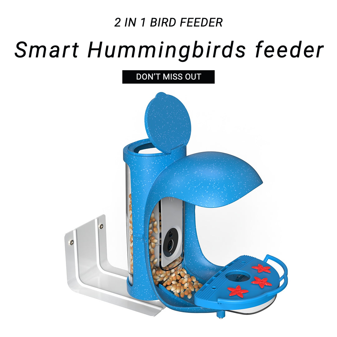 Smart Hummingbird Feeder with camera