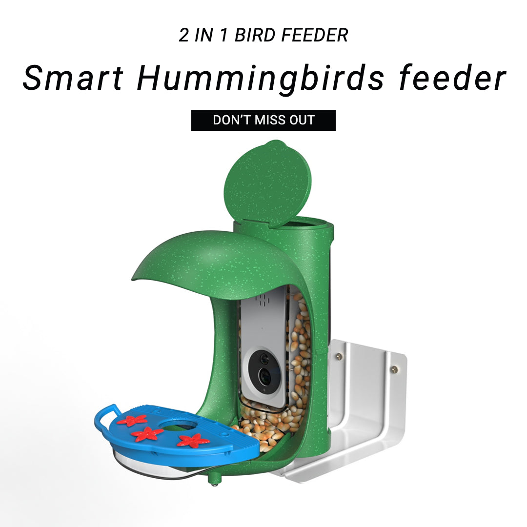 Smart Hummingbird Feeder with camera