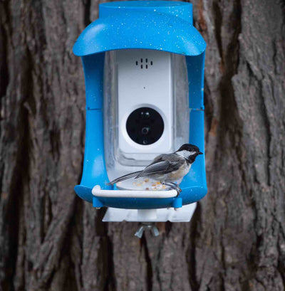Smart Bird Feeder with camera